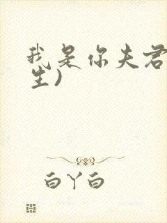 我是你夫君(重生)