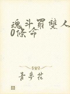 魂斗罗双人版30条命