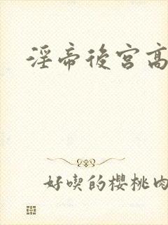 淫帝后宫高h