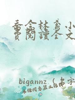 乔念林鸢小说免费阅读全文无弹窗