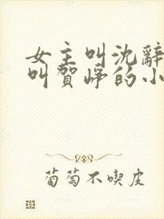 女主叫沈辞男主叫贺峥的小说