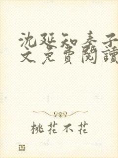 沈延知秦子卿全文免费阅读