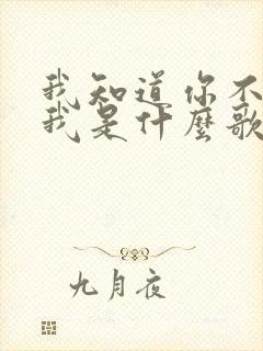 我知道你不再爱我是什么歌