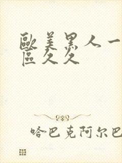 欧美黑人一区二区久久