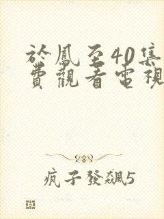 于凤至40集免费观看电视剧