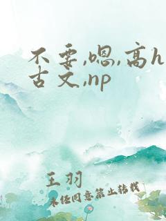 不要,嗯,高h古文,np