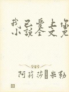 我已爱上你陈超小说全文免费阅读