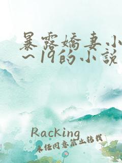 暴露娇妻小婷1～19的小说