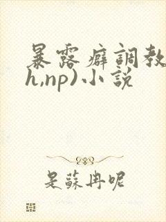 暴露癖调教(高h,np)小说