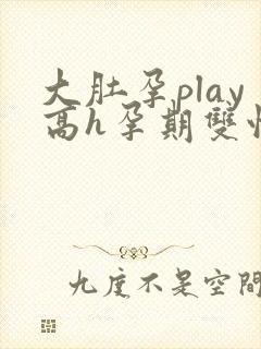 大肚孕play高h孕期双性