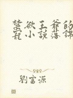 禁欲王爷的心尖宠小说落锦书