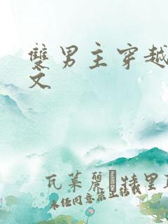 双男主穿越种田文