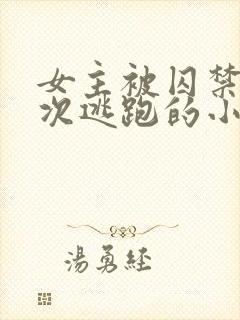 女主被囚禁并多次逃跑的小说