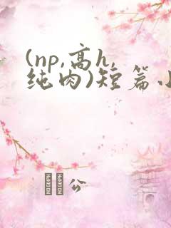 (np,高h,纯肉)短篇小说