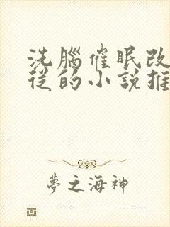 洗脑催眠改造服从的小说推荐小说