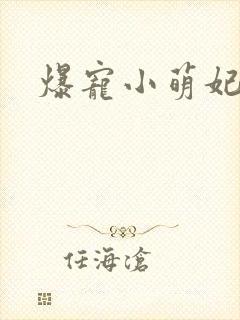 爆宠小萌妃免费