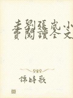 老刘张岚小说免费阅读全文最新章节