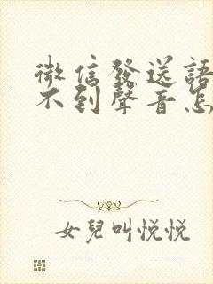 微信发送语音听不到声音怎么回事