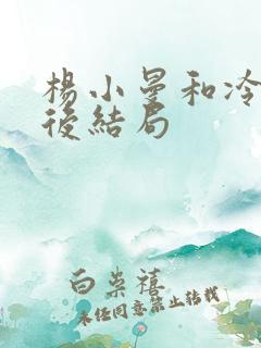 杨小曼和冷漠最后结局