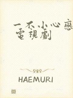 一不小心恋爱了 电视剧