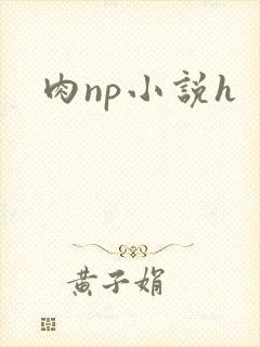 肉np小说h