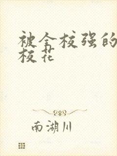 被全校强的清纯校花