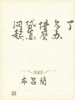 网贷借多了还不起怎么办