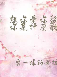 想你爱你留不住你是什么歌曲