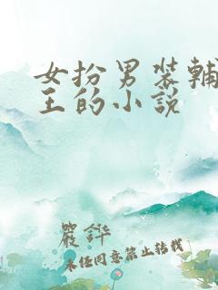 女扮男装辅佐帝王的小说