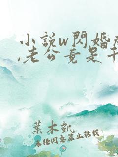 小说w闪婚成宠,老公竟是千亿大佬》