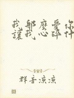 我那么爱你你却让我心碎什么歌