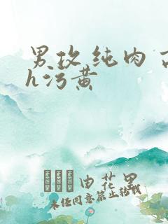 男攻 纯肉 高h污黄