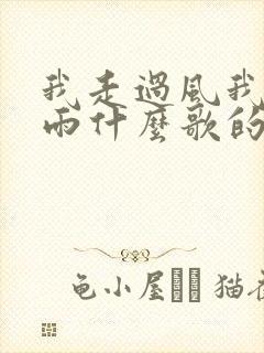 我走过风我走过雨什么歌的歌词