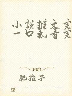 小说推文完结版一口气看完超级好看