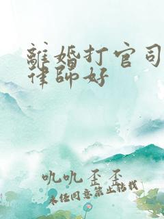离婚打官司哪个律师好