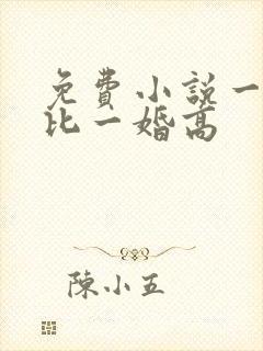 免费小说一婚还比一婚高