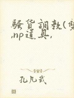 骚货调教(双性,np道具,