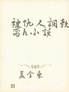 被仇人调教成禁脔h小说