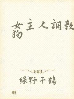 女主人调教骚母狗