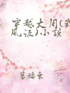 穿越大周(武唐风流)小说