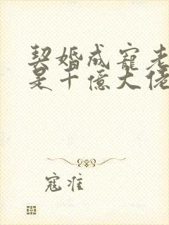 契婚成宠老婆竟是千亿大佬免费阅读