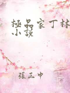 极品家丁林晚荣小说
