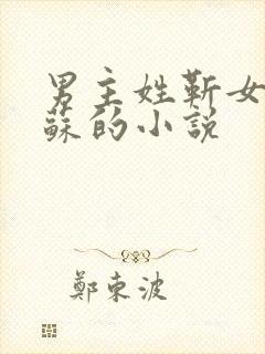 男主姓靳女主姓苏的小说