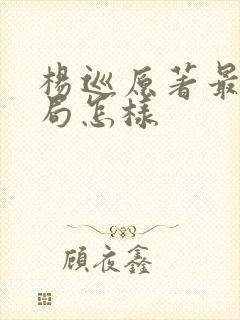 杨巡原著最后结局怎样