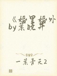 《婚里婚外》 by叶晓井