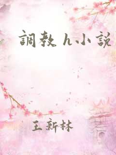 调教 h小说