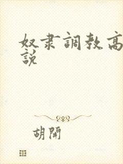 奴隶调教高h小说