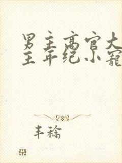 男主高官大叔女主年纪小宠文