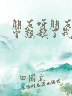 朋友呀朋友你可曾想起了我歌词