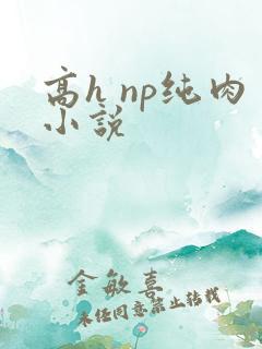 高h np纯肉小说